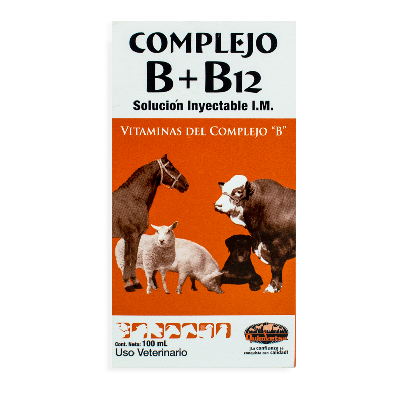 Colono Agropecuario - Complejo B+B12 100ML